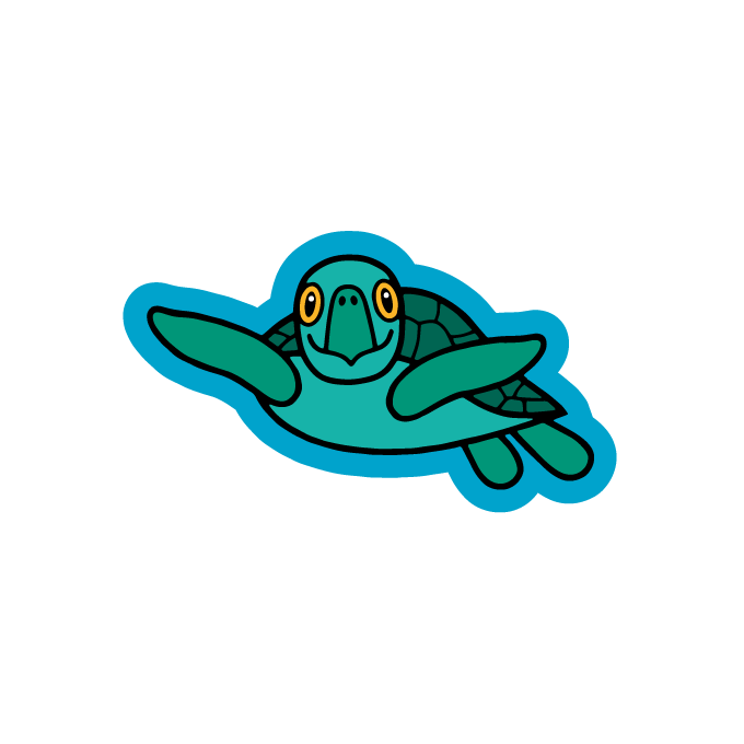 MAGNET SEA TURTLE