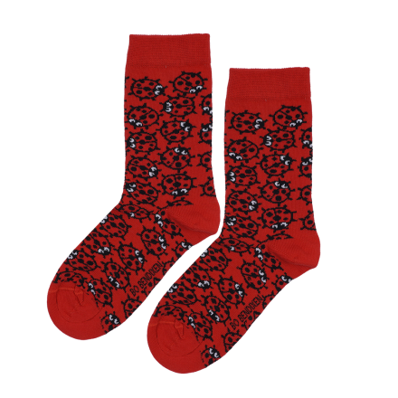 SOCKS LADY BUG RED