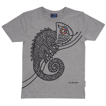 T-SHIRT KIDS CAMELEON GREY