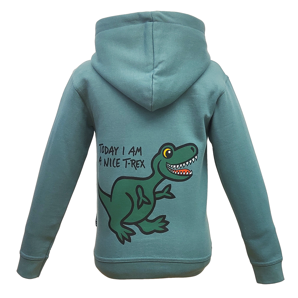 T rex hoodie on sale