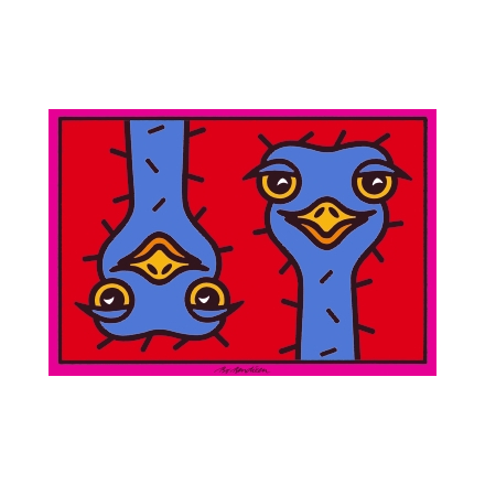 POSTCARD OSTRICHES RED